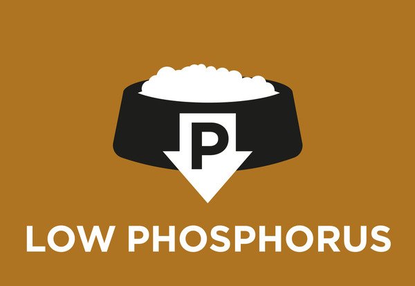 Faible teneur en phosphore