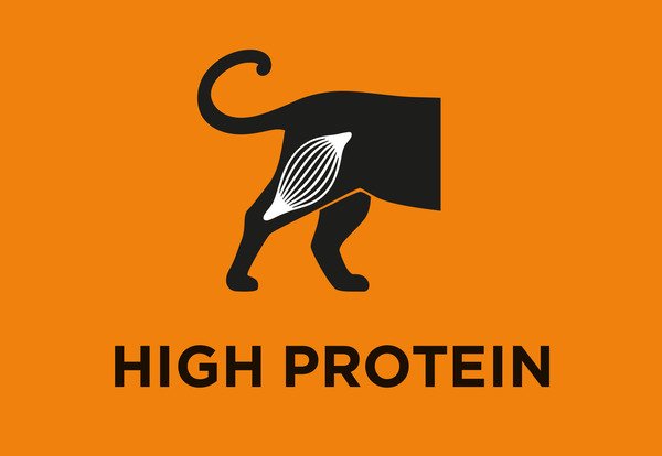 Teneur élevée en protéines