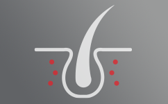 Dermatologie
