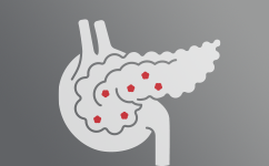 Système endocrinien
