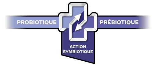 Action symbiotique - Fortiflora Plus