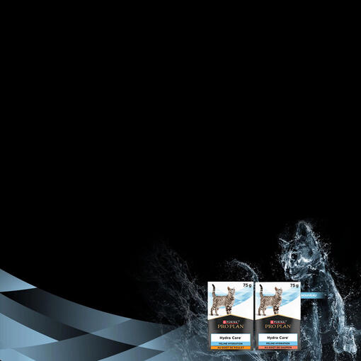 Hydra Care mobile banner