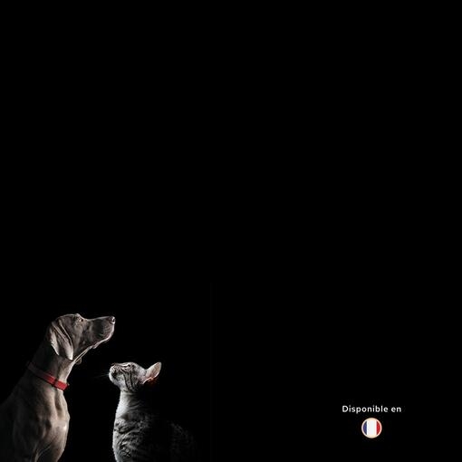 Symposium Pro Plan - GI 2025