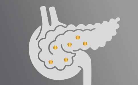 Système endocrinien