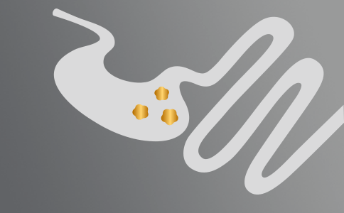 Santé gastro-intestinale