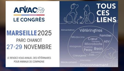 AFVAC le Congrès Marseille 2025 - Tous ces liens