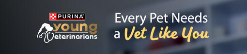 Young Vets Mobile Banner