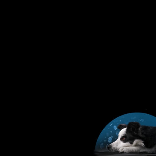 Image de la section héro de la page d’accueil