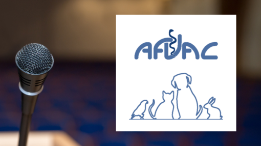 TOLOS'ASV 2026 (Formation AFVAC)