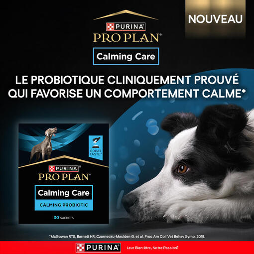 Découvrez PRO PLAN® Calming Care®