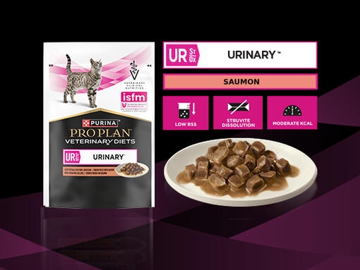 PURINA® PRO PLAN® VETERINARY DIETS FELINE UR St/Ox Urinary™ - Au Saumon - Tendres morceaux en sauce