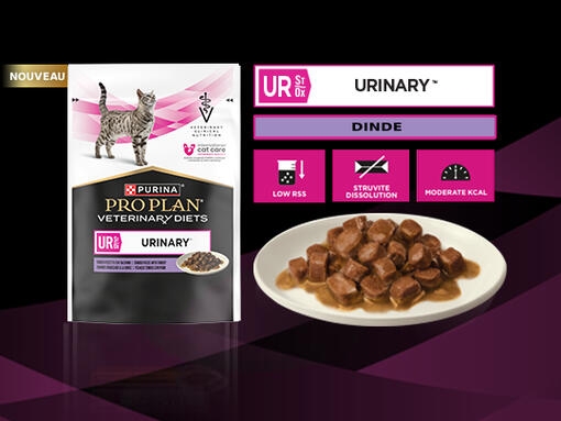 PURINA® PRO PLAN® VETERINARY DIETS FELINE UR St/Ox Urinary™ - A la dinde - Tendres morceaux en sauce