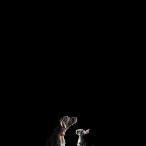 PROPLAN® SYMPOSIUM 2026