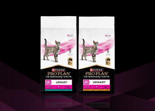 PURINA® PRO PLAN® VETERINARY DIETS FELINE UR St/Ox Urinary™