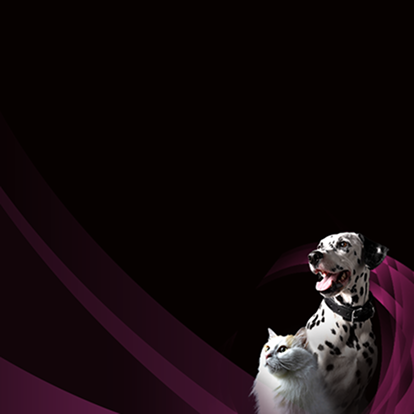 Bannière principale urinaire