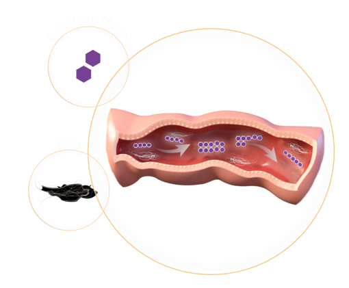 Image de fibre de cellulose