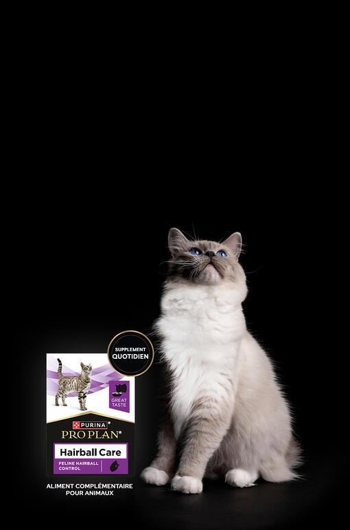 Bannière PRO PLAN® Hairball Care