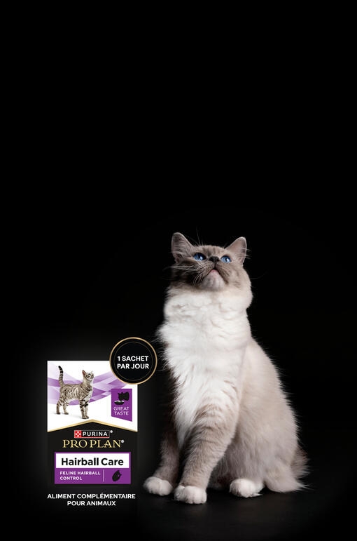 Bannière PRO PLAN® Hairball Care