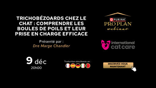 Webinaire Pro Plan sur les trichobézoards chez le chat et leur prise en charge, le 9 décembre à 20h00