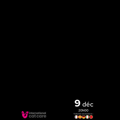 Webinaire Pro Plan sur les trichobézoards chez le chat et leur prise en charge, le 9 décembre à 20h00